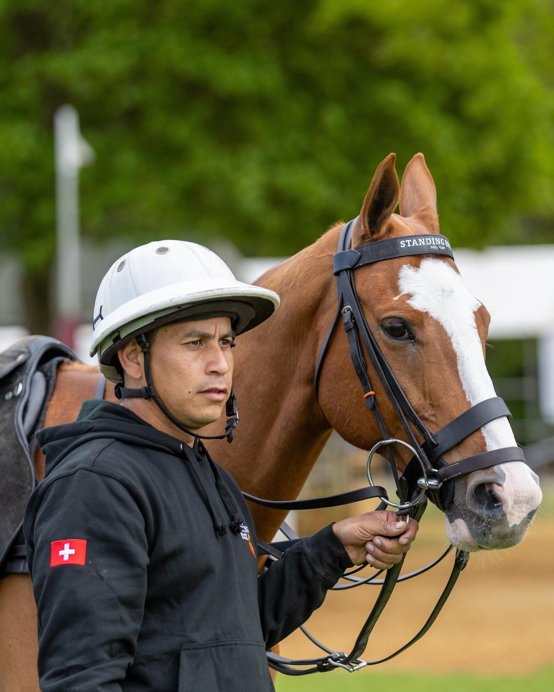 Alternative Text missing