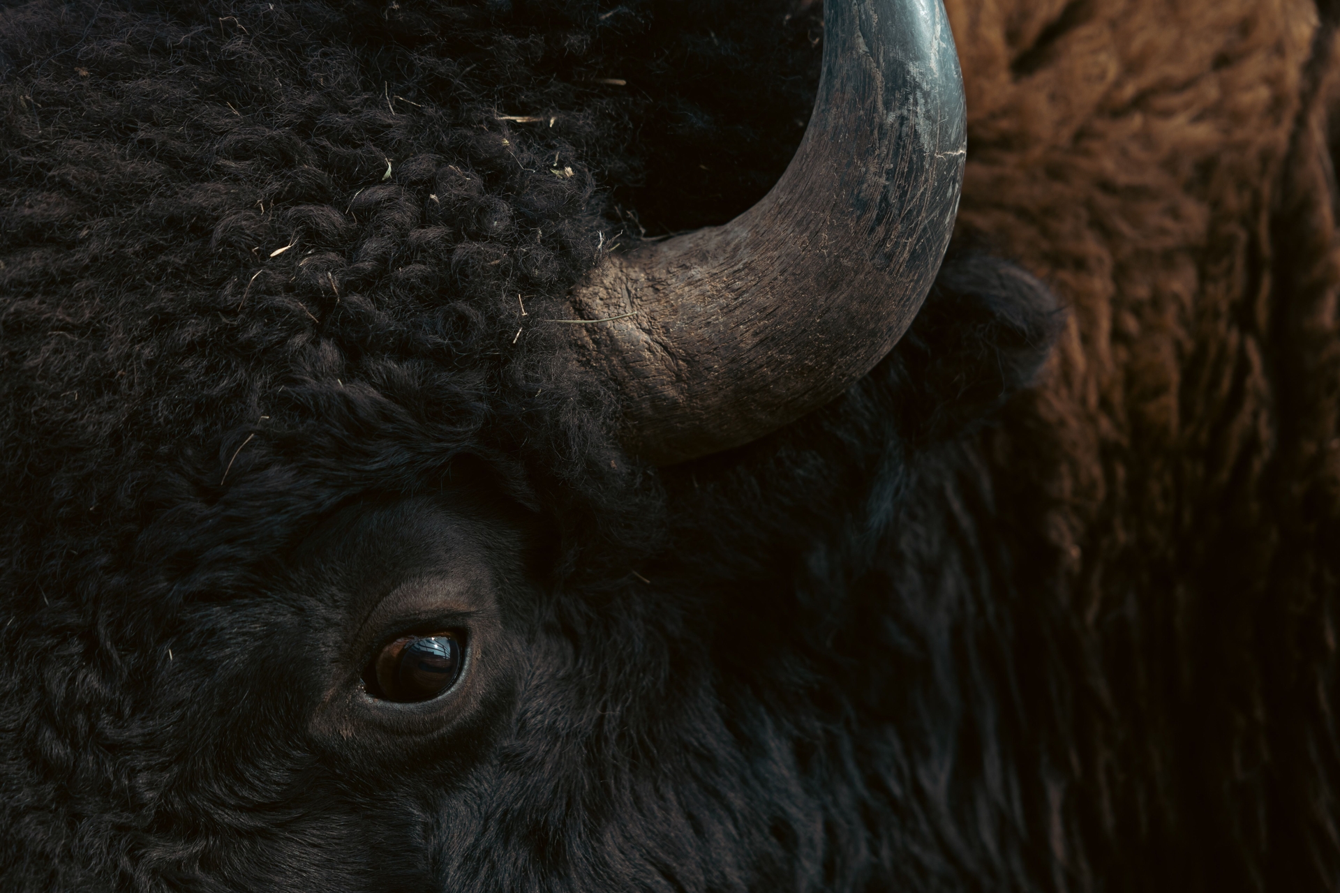 Alternative Text missing