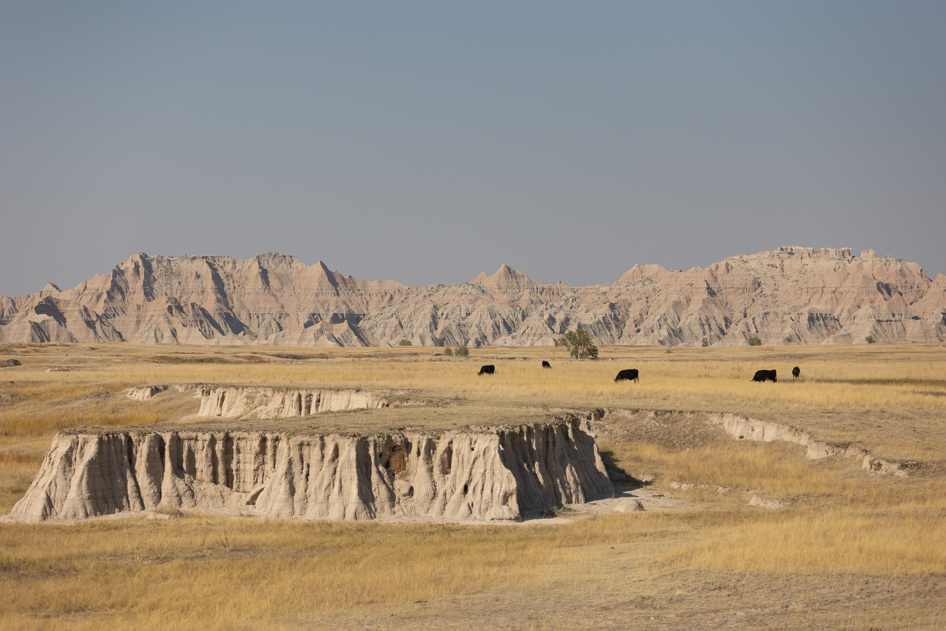 Alternative Text missing