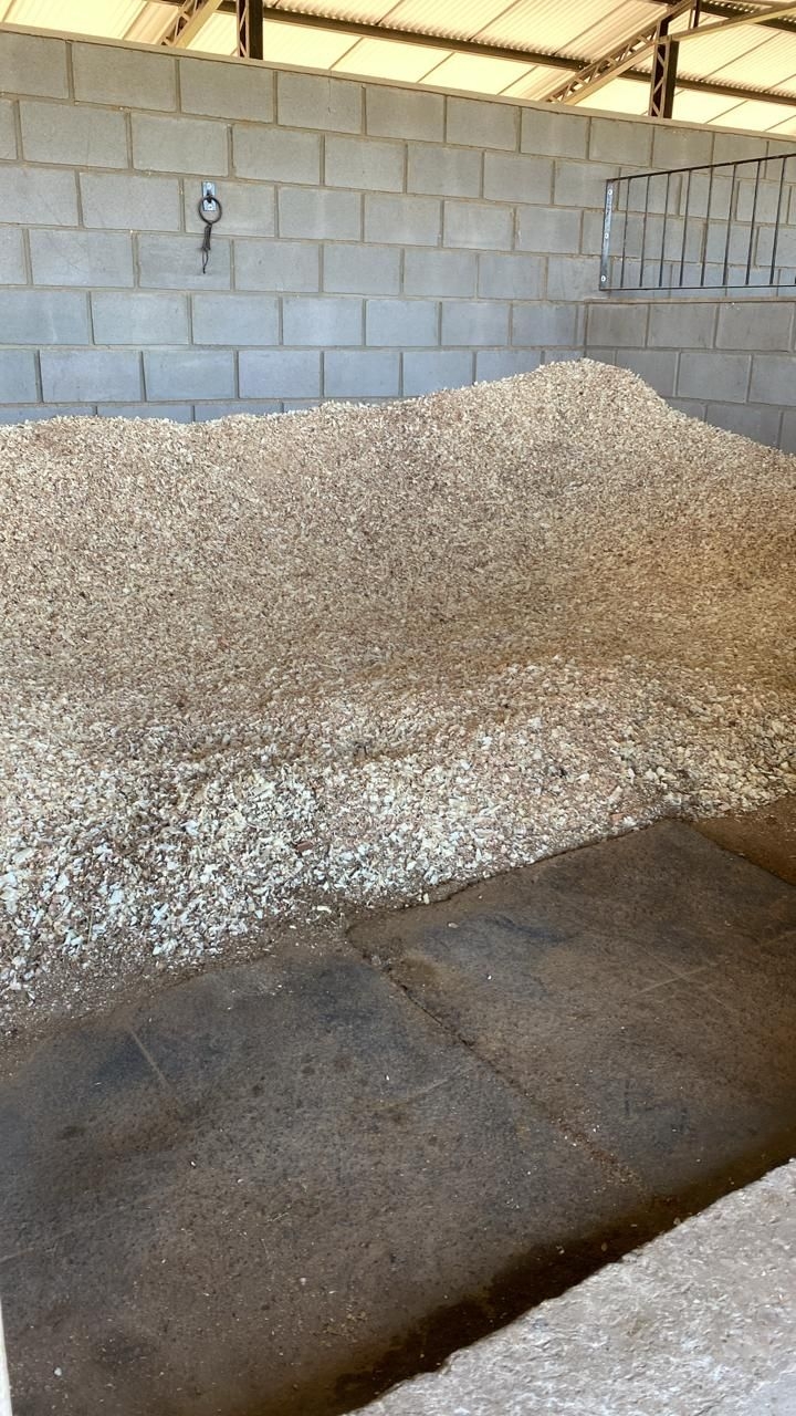 Alternative Text missing