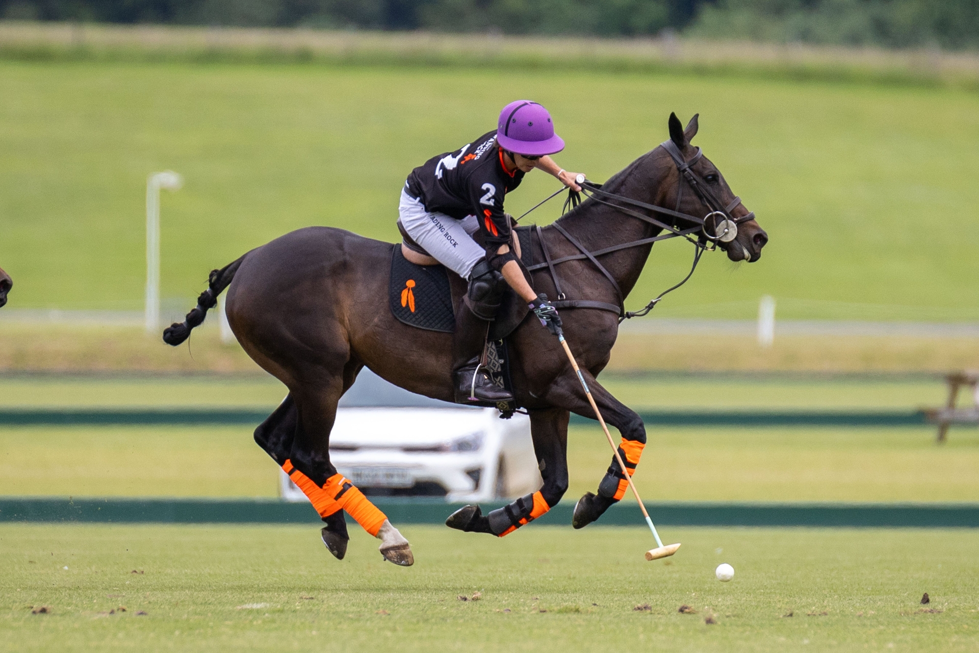 Alternative Text missing